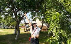 本店已换新名337333